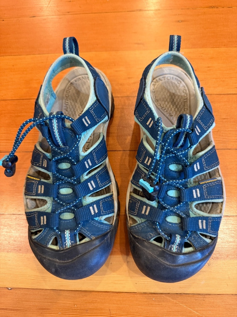 women's KEEN Newport H2 water hiking sandals